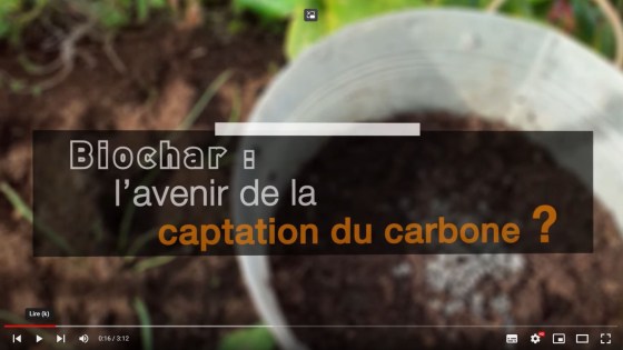 Le biochar : L'avenir de la captation du carbone ?