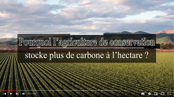 Pourquoi l'agriculture de conservation stocke plus de carbone à l'hectare ?