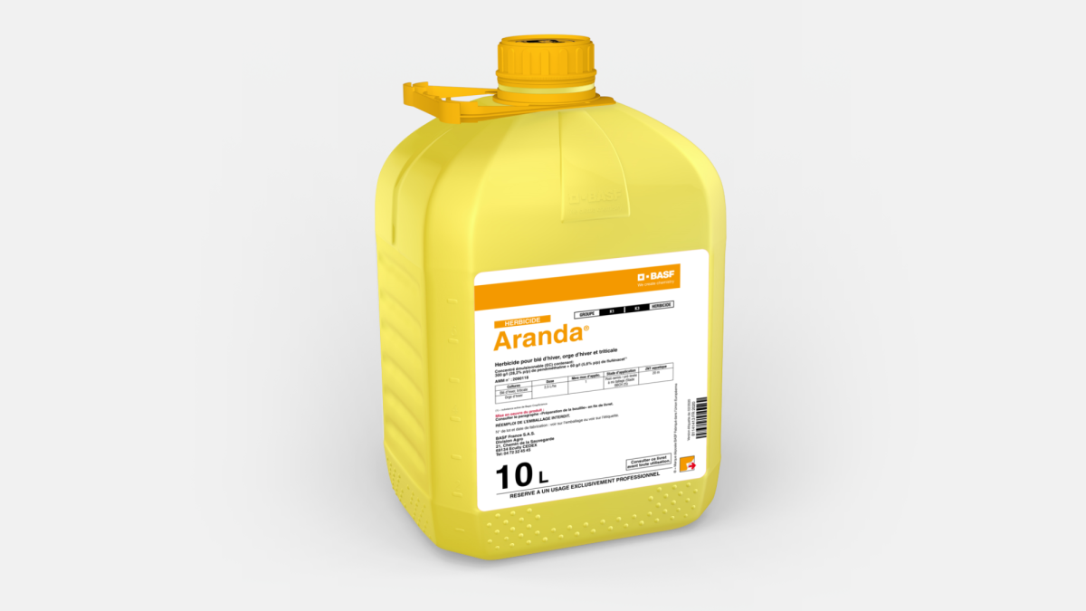 ARANDA - 58660815
