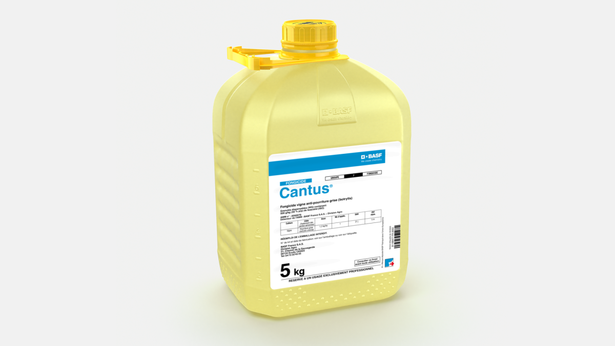 CANTUS - 58050373