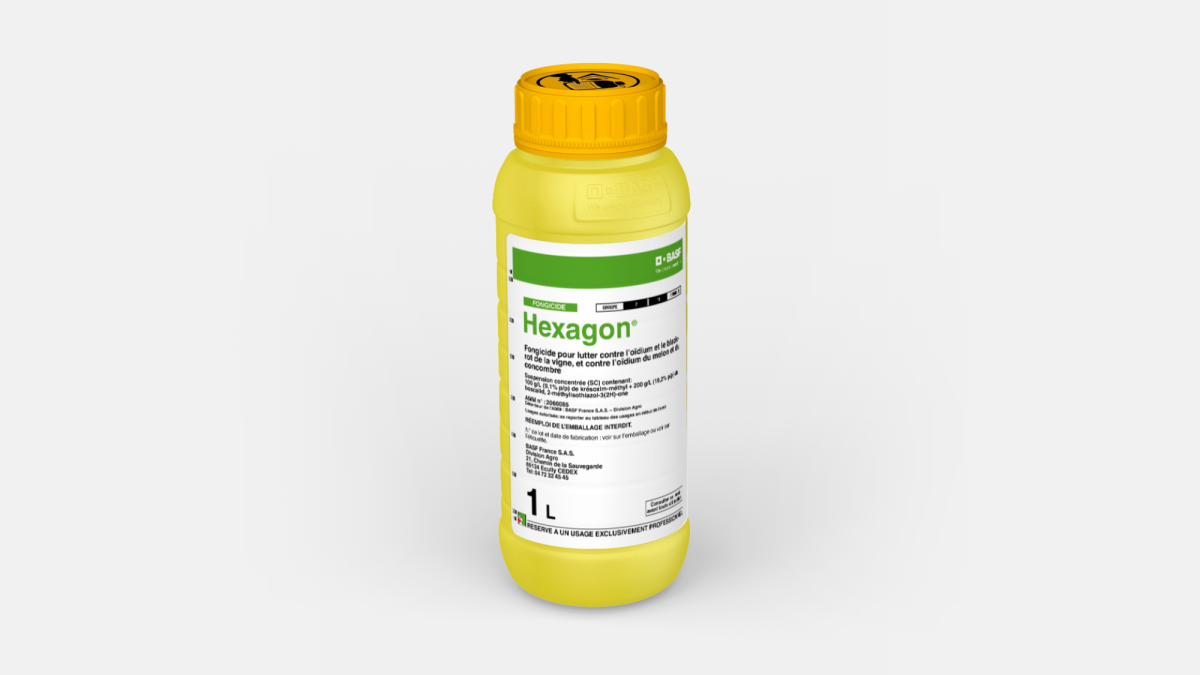 HEXAGON - 58920117
