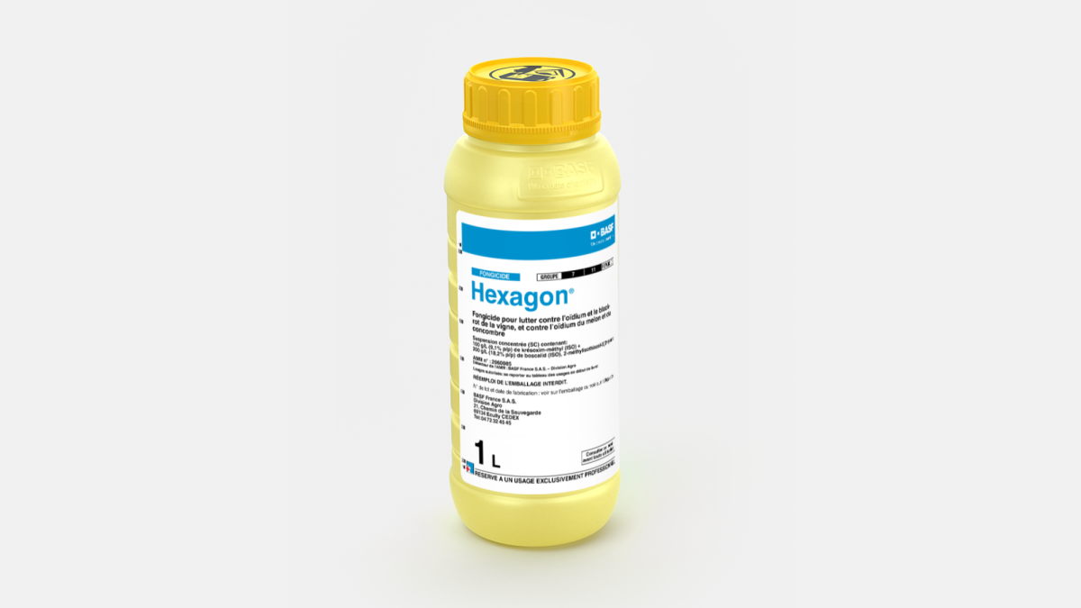 HEXAGON - 58920117