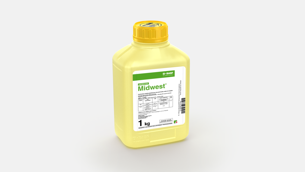 MIDWEST - 58152398