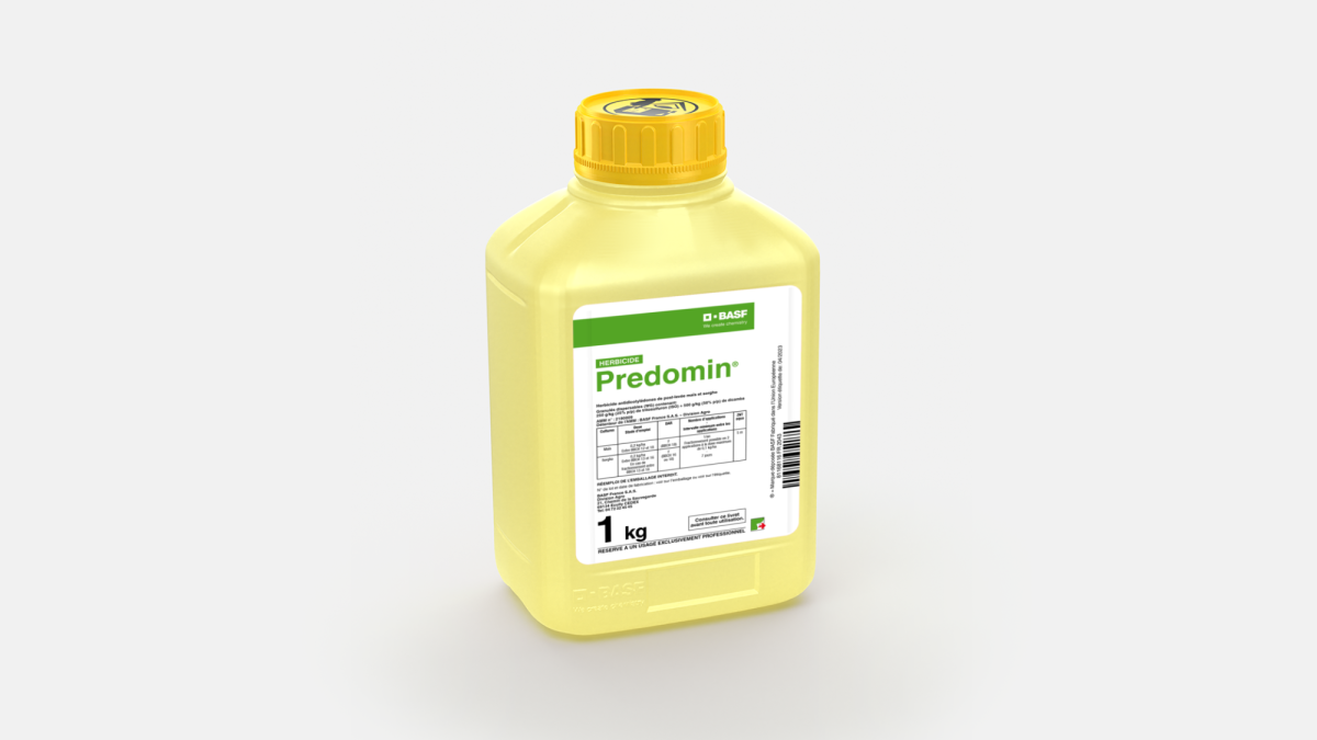 PREDOMIN - 58152374