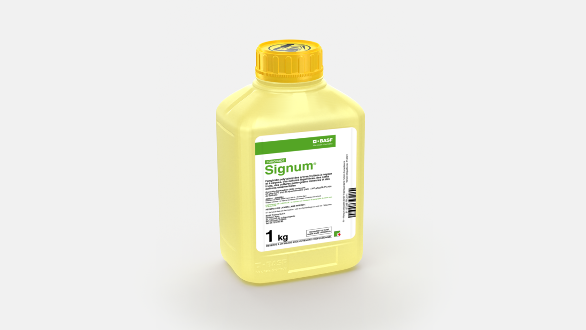 SIGNUM - 58027139