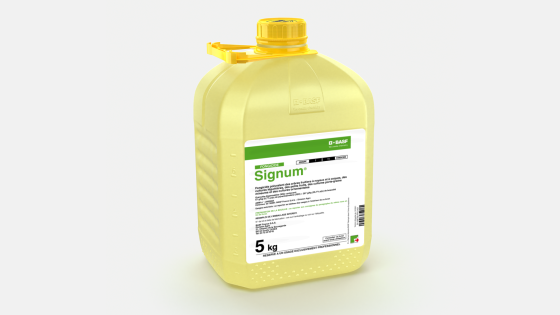 Signum®