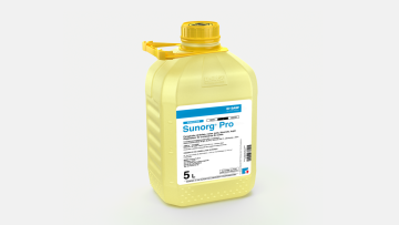 Sunorg® Pro