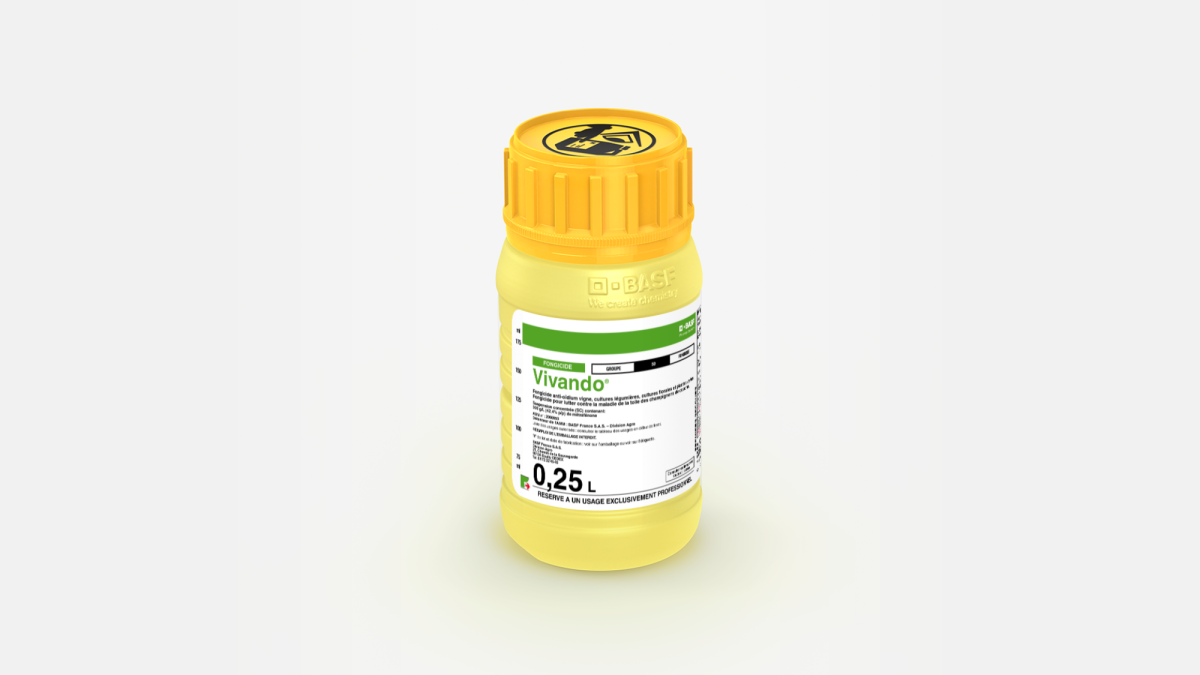 VIVANDO - 58024442
