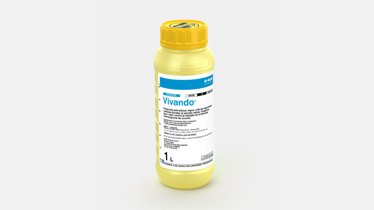 VIVANDO - 58690850