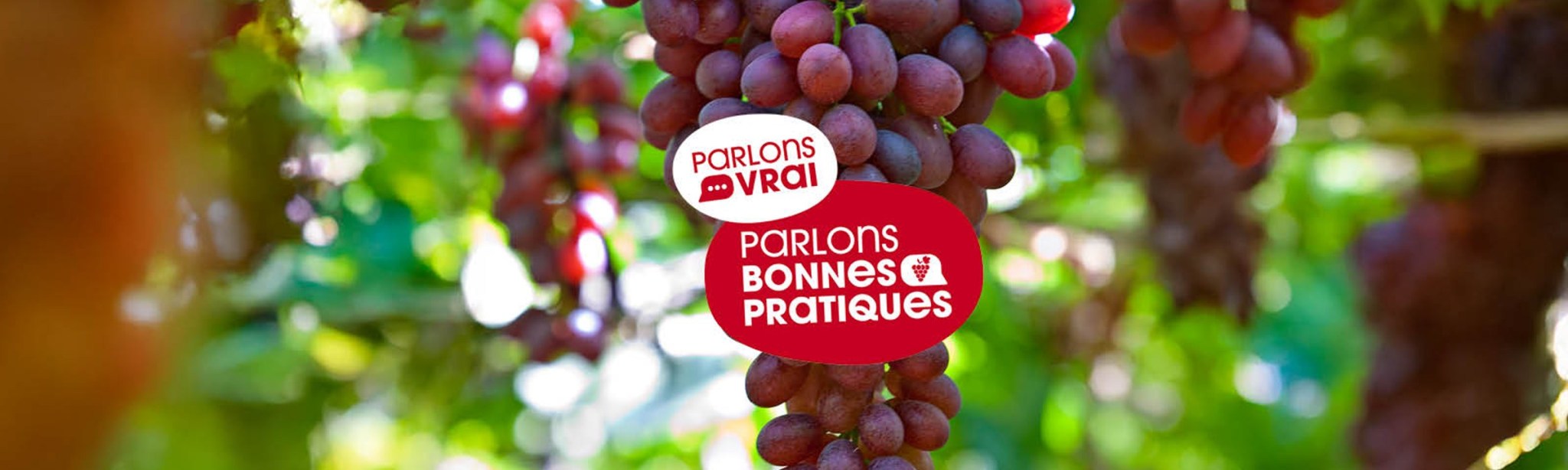 Parlons vrai parlons bonnes pratiques