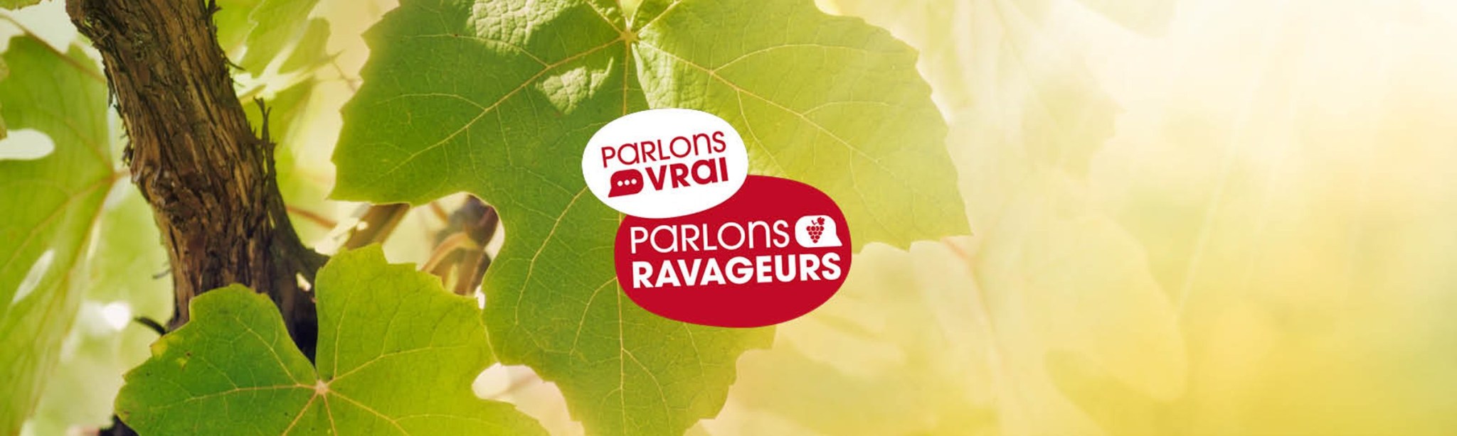 parlons vrai parlons ravageurs