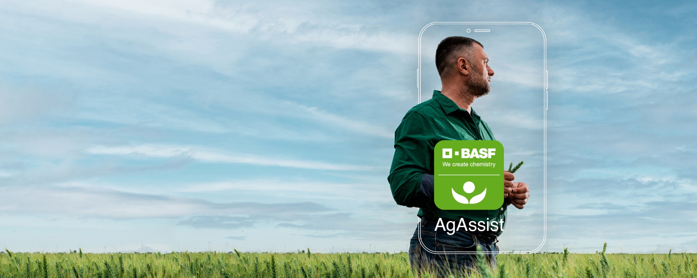 agassist application basf