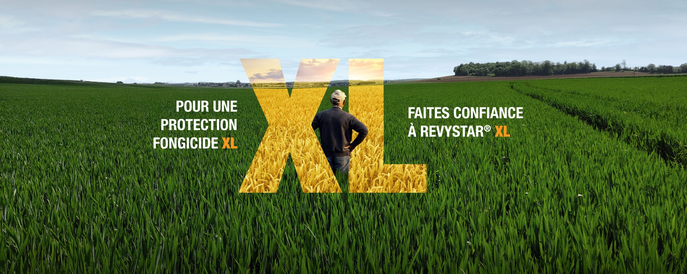 revystar xl campagne 2024