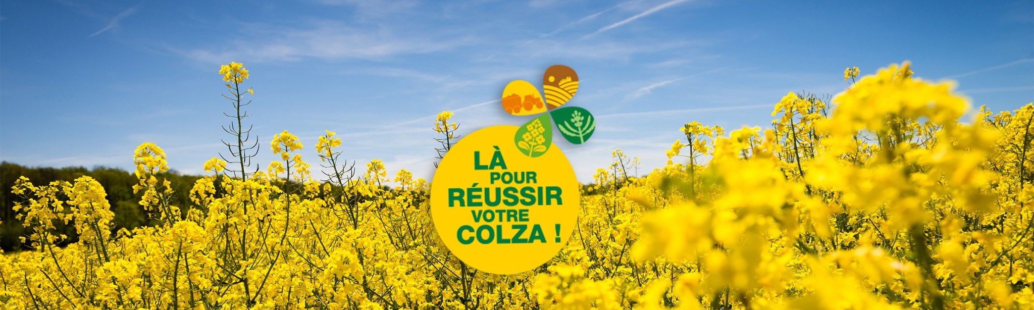 là pour réussir votre colza