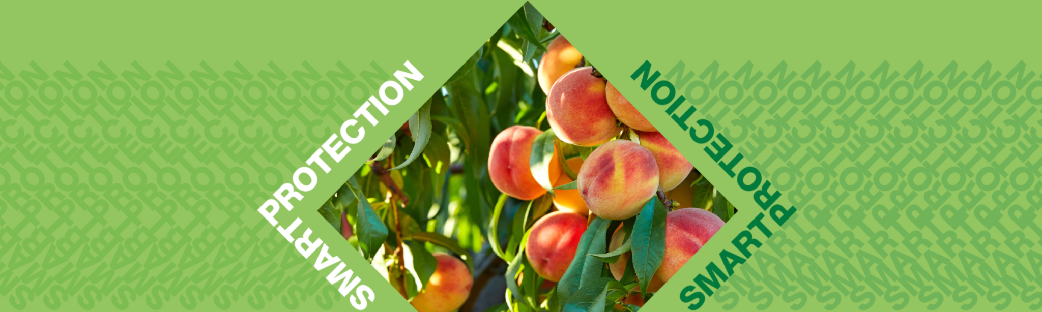 smart protection fruits noyau