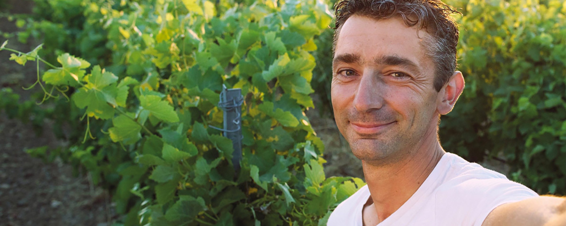 pierre, ma vie d'agri