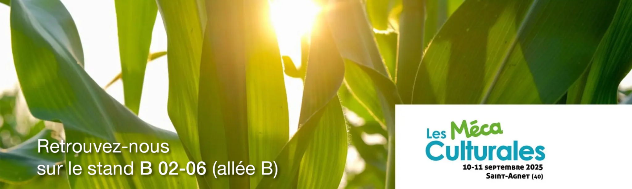 Méca culturales stand B 02-06