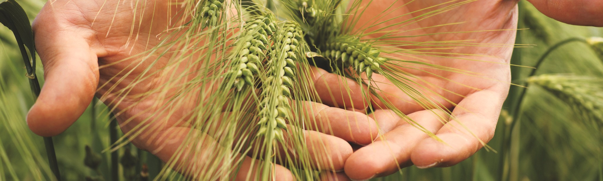 header systiva réduction ift