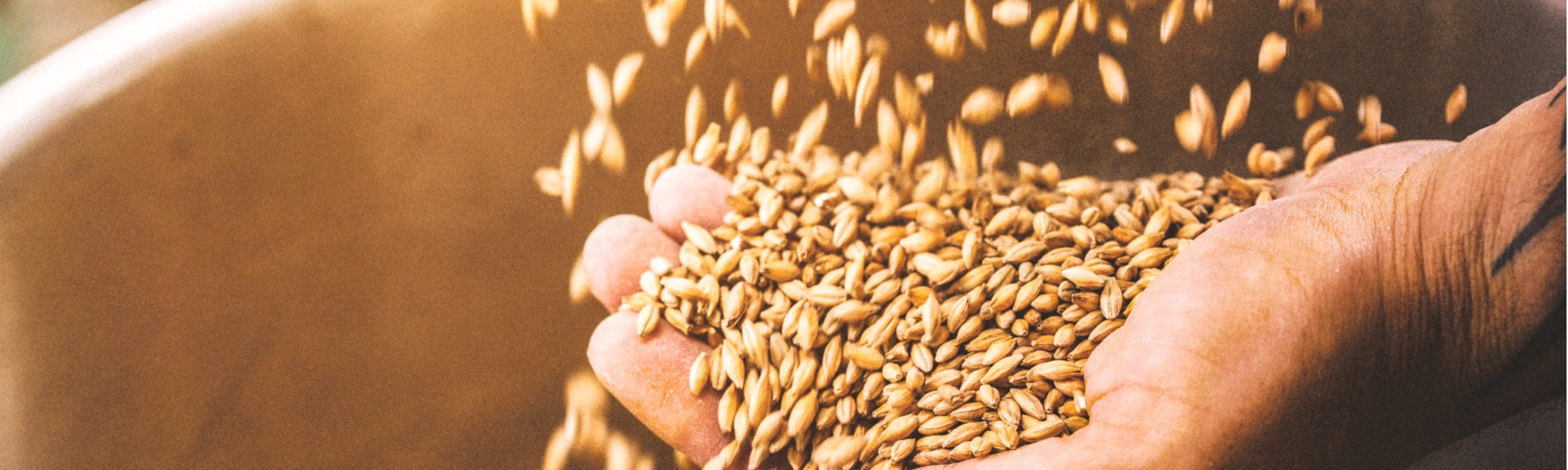 header orge systiva rendement sécurisé