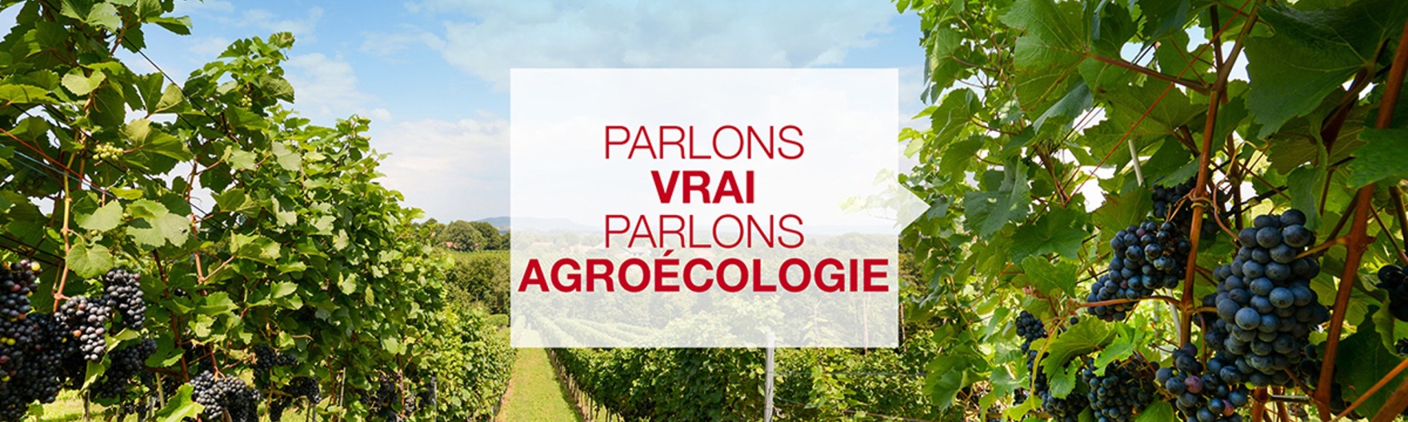 parlons vrai parlons agroécologie