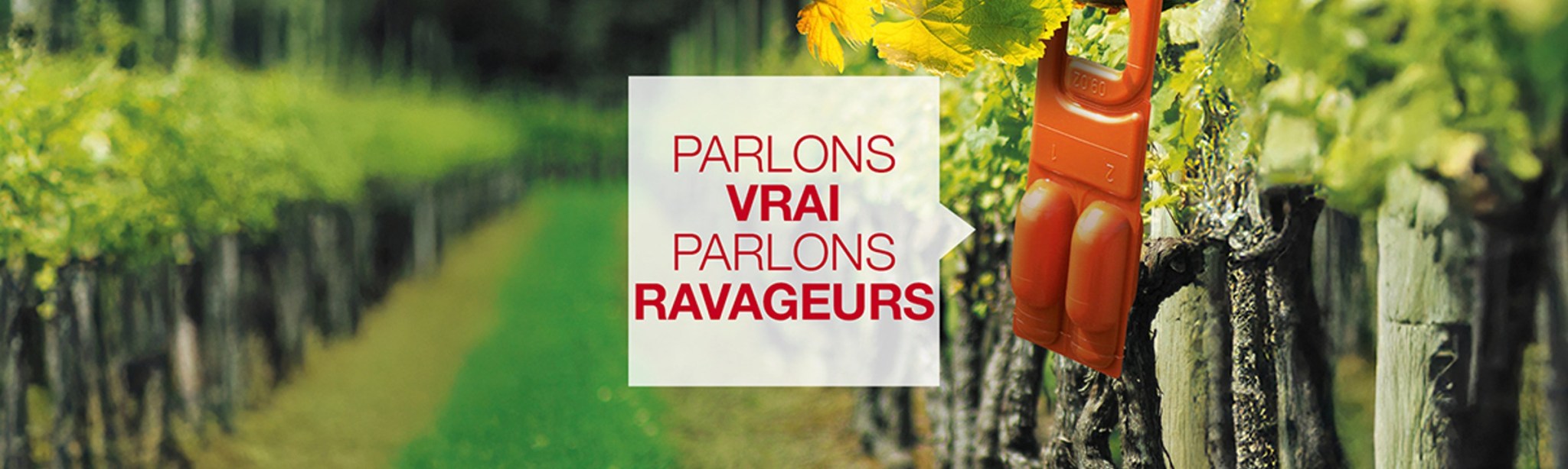 parlons vrai parlons ravageurs