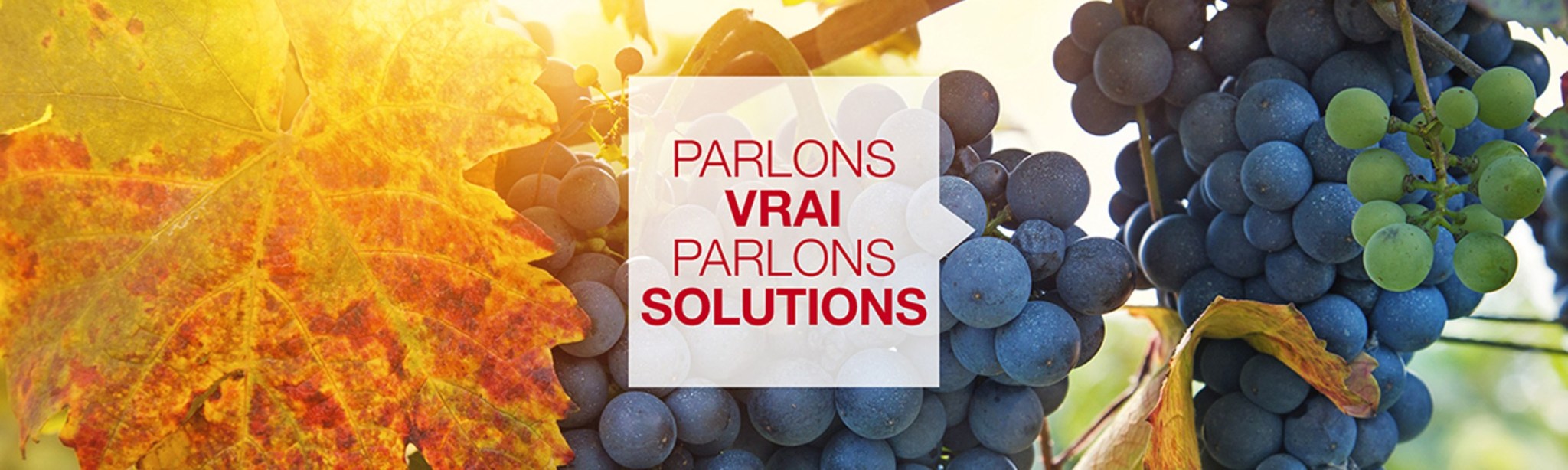 parlons vrai parlons solutions