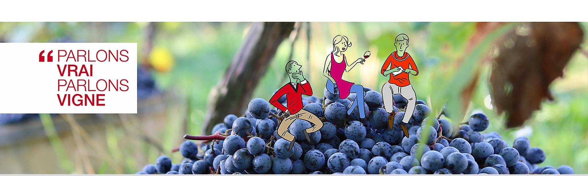 Header parlons vrai, parlons vigne