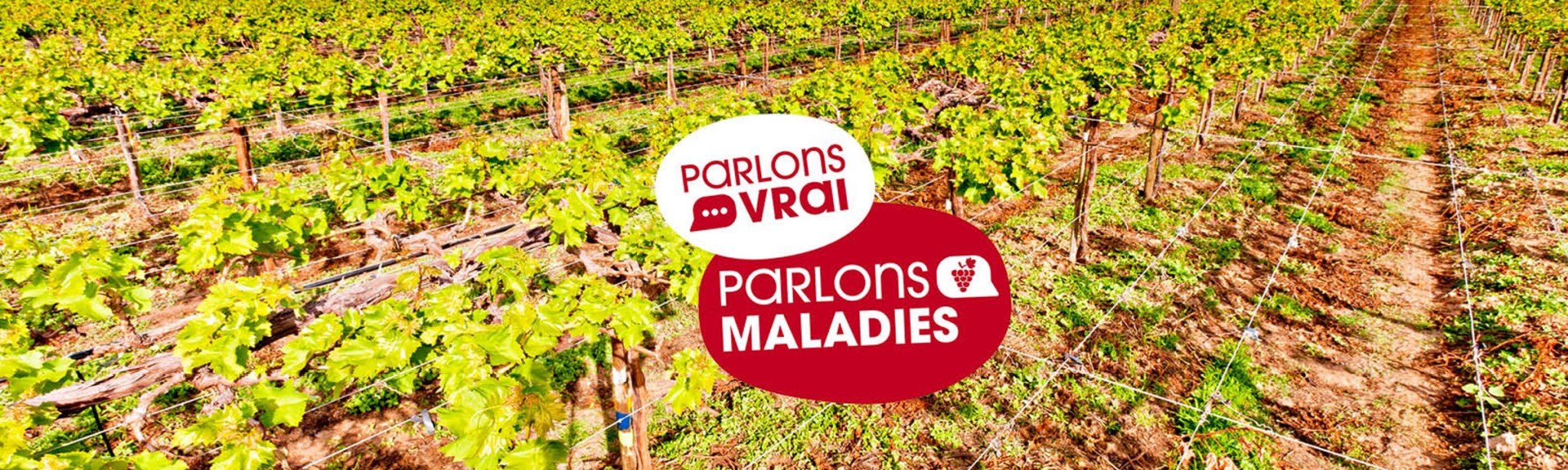 parlons vrai parlons maladies