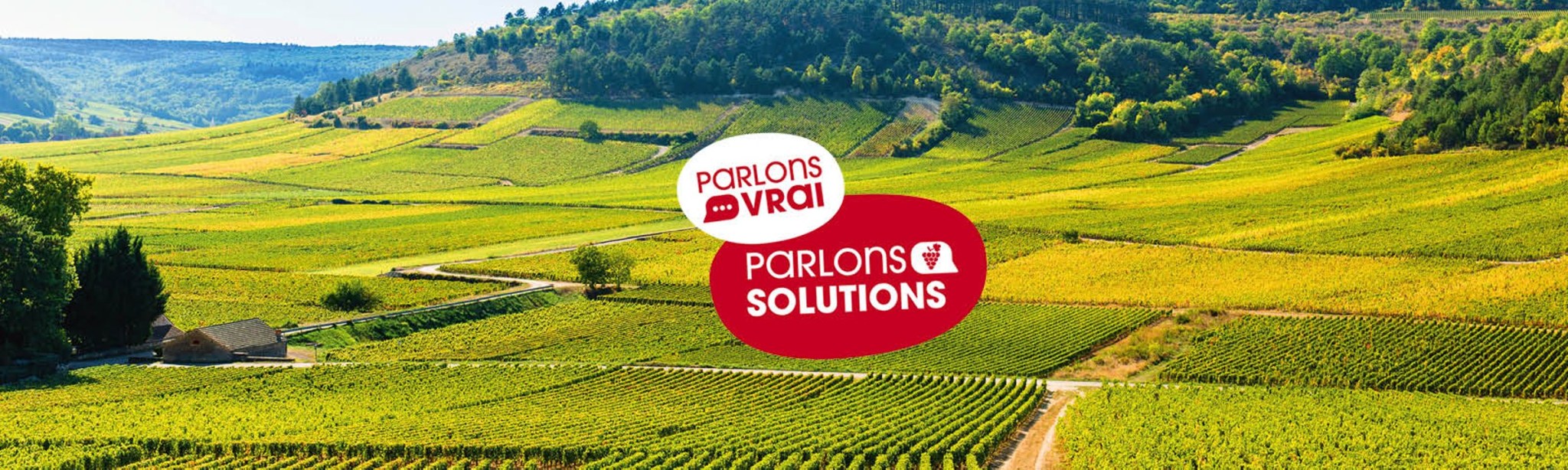 Parlons vrai parlons solutions