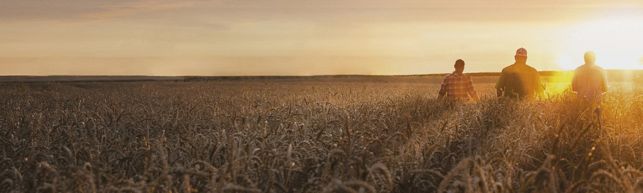 header revystar xl sommaire