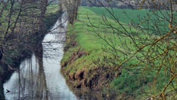 Gestion responsable des herbicides à base de bentazone