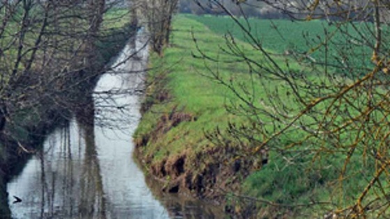 Gestion responsable des herbicides à base de bentazone