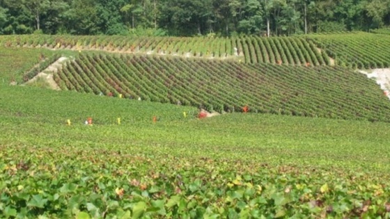 En quoi la confusion sexuelle est-elle une voie d'avenir ?