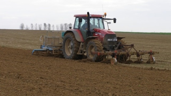 Le décalage de la date de semis des céréales d'hiver