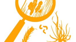 Tout savoir sur les pesticides