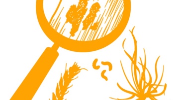 Tout savoir sur les pesticides