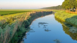 Protection des milieux aquatiques