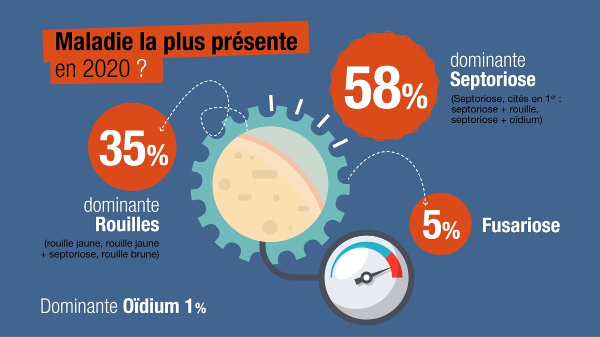 basf_enquete_inforisque_2020