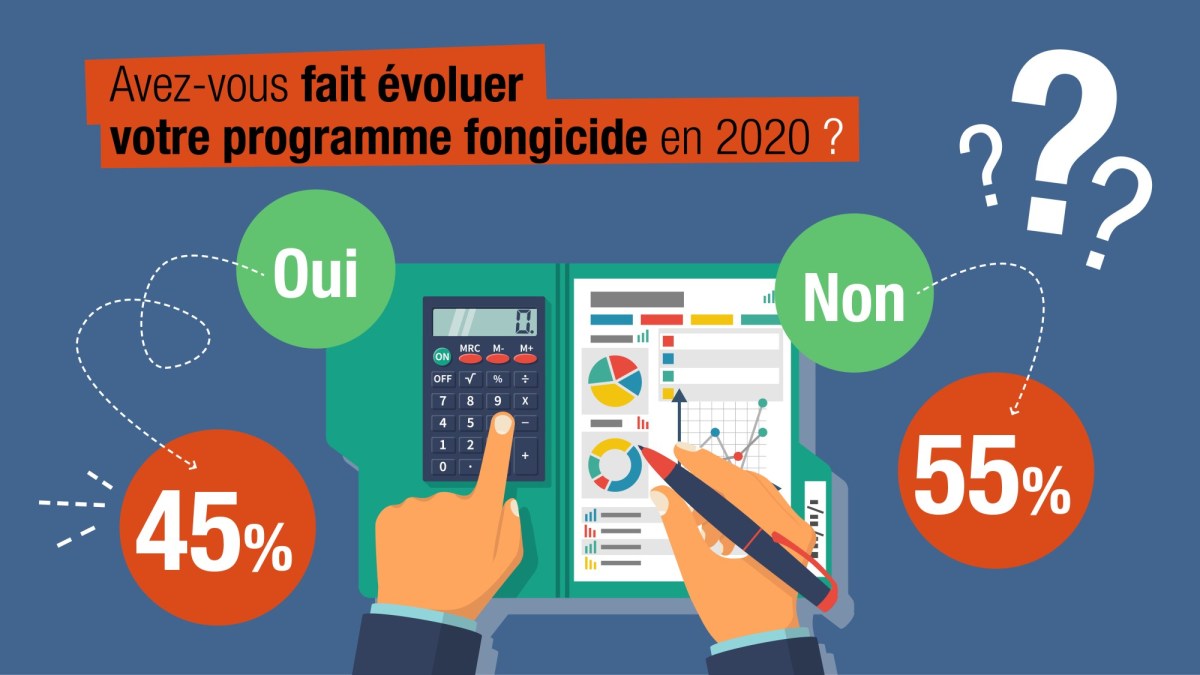 basf_enquete_inforisque_2020