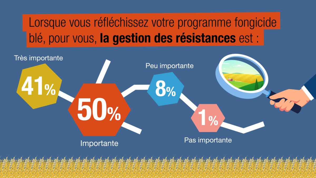 basf_enquete_inforisque_2020