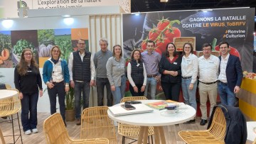 basf nunhems au sival 2024