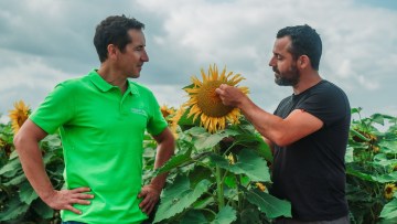 integarl pro sur tournesol