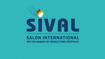 sival 2026