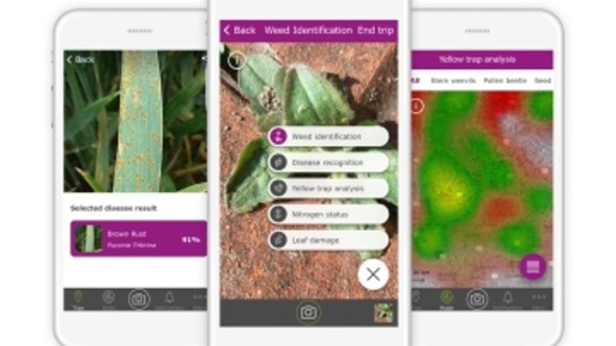 xarvio™ SCOUTING : une appli mobile de reconnaissance des nuisibles des parcelles