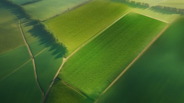 xarvio field manager precisen