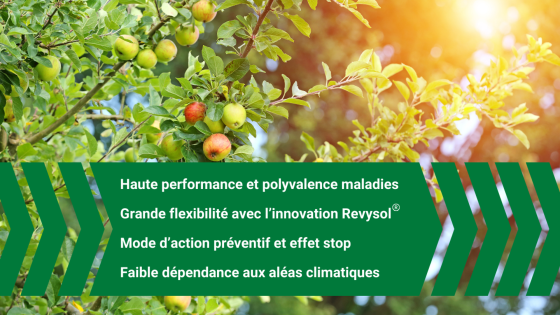bénéfices revysion