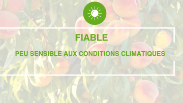 Souplesse d'utilisation et de positionnement dans les programmes 