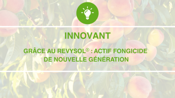 Forte activité intrinséque grâce à sa fléxibilité moléculaire et très haute affinité à sa cible