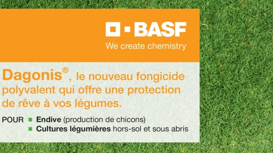 Dagonis®,  le fongicide polyvalent
