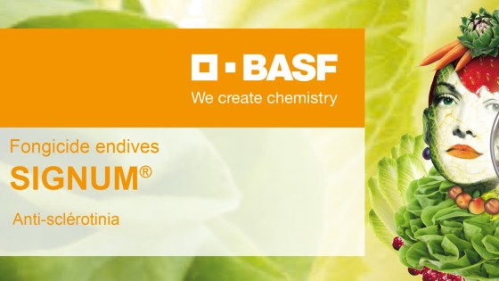 Signum®, le spécifique anti-sclérotinia​